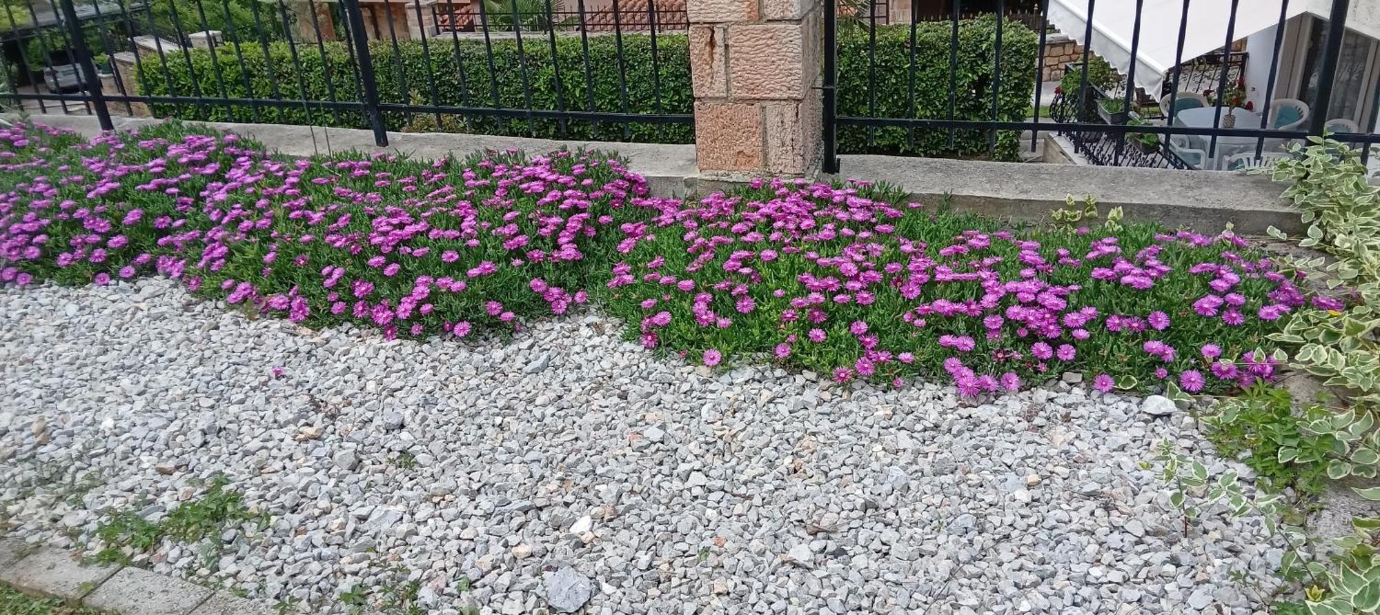 Villa Karolina Ohrid Exterior foto